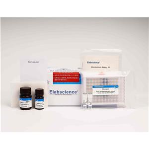 Elabscience 細(xì)胞銅（Cu2+）比色法測試盒（絡(luò)合法）-E-BC-K775-M