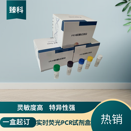 A型流感病毒通用型PCR檢測(cè)試劑盒
