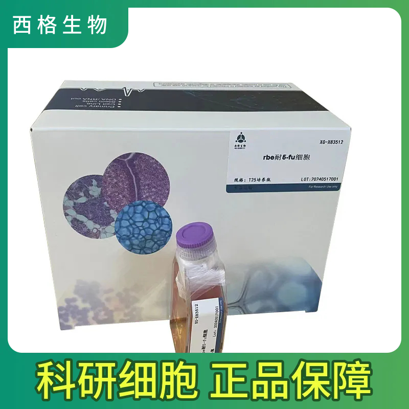 NCIH2122人非小細(xì)胞肺癌細(xì)胞,NCIH2122