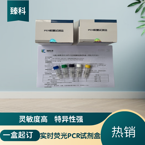 甲型肝炎病毒(HAV)PCR检测试剂盒