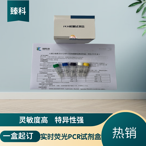 钩端螺旋体(Lep)PCR检测试剂盒