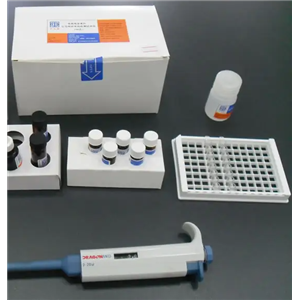 猪滑液支原体(Mycoplasma hyosynoviae)探针法荧光定量PCR试剂盒
