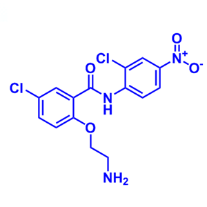 2-(2-氨基乙氧基)-5-氯-N-(2-氯-4-硝基苯基)苯甲酰胺