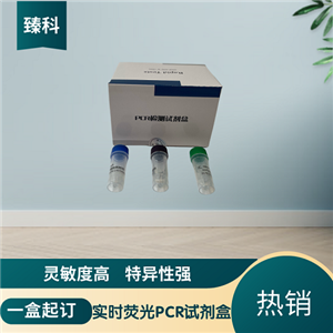 犬瘟热病毒(CDV)PCR检测试剂盒