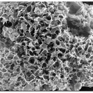 微孔碳,Silicon-Carbon Anode