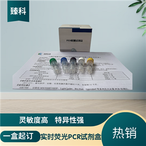 蓝舌病病毒(BTV)PCR核酸检测试剂盒