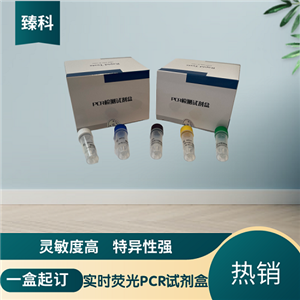 猫支原体（MF）PCR检测试剂盒