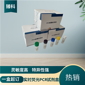 牛支原體（MYPB）PCR核酸檢測(cè)試劑盒