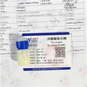 丙酮酸氧化酶,PYRUVATE OXIDASE