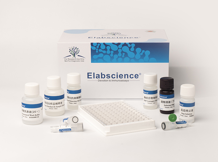 Elabscience 活性氧（ROS）熒光法測(cè)試盒（綠色）-E-BC-K138-F,Reactive Oxygen Species (ROS)  Fluorometric Assay Kit (Green)