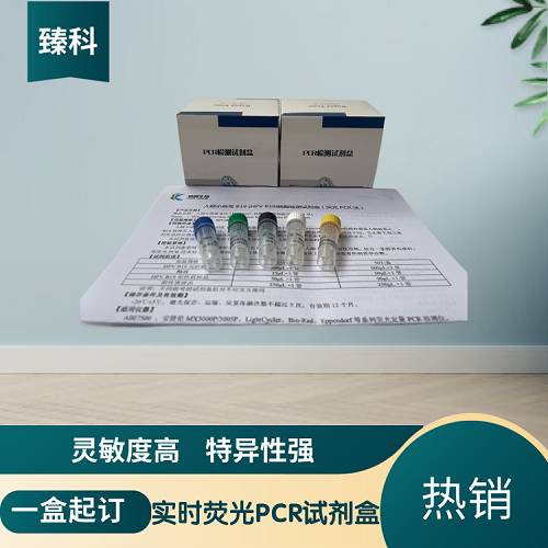 猪瘟病毒野毒株PCR检测试剂盒
