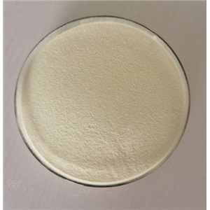 ACVR2A（激活素受體IIA型）單抗,LAE102