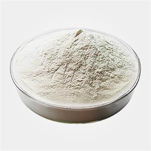对叔丁基苯乙酸甲酯 3549-23-3匠信生物 生产厂家 高纯度 全国发货