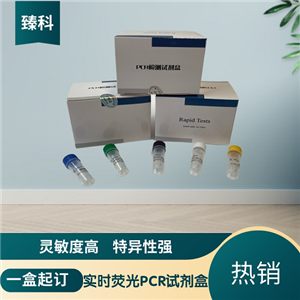 幽門螺旋桿菌(HP)PCR檢測試劑盒
