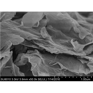 氟化石墨烯,Fluorographene