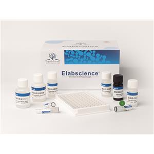 Elabscience 活性氧（ROS）熒光法測(cè)試盒（綠色）-E-BC-K138-F