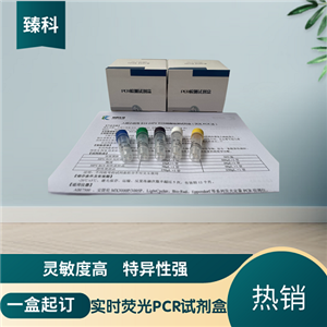猪瘟病毒野毒株PCR检测试剂盒