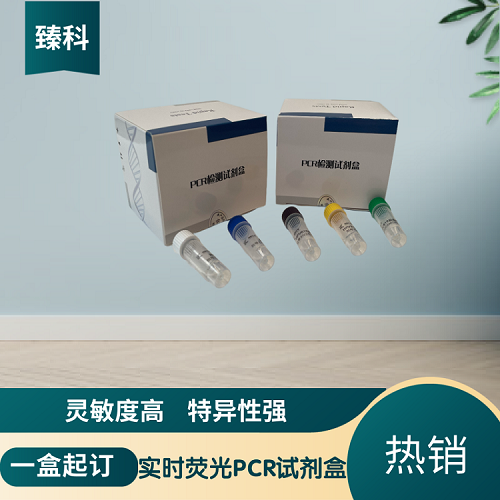 口蹄疫病毒亞洲1型(FMDV-Asia1)PCR檢測試劑盒