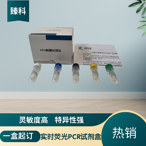 甲型流感病毒H1亚型(IAV-H1)PCR试剂盒
