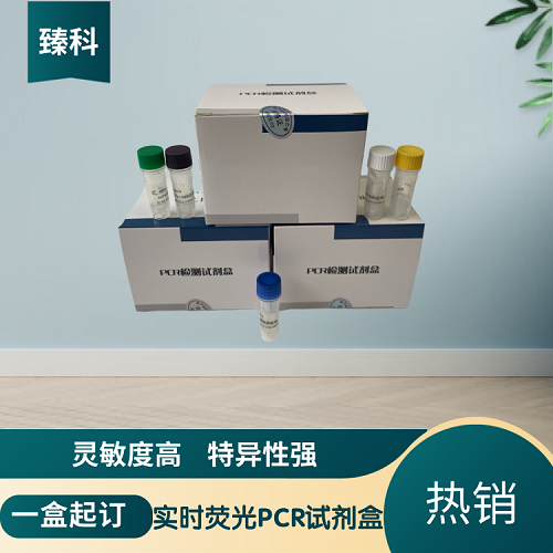 肠炎沙门氏菌（SE）PCR核酸试剂盒
