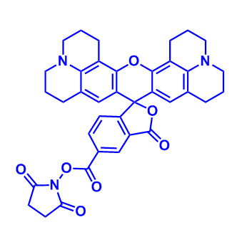 5-ROX-琥珀酰亞胺酯,5-ROX NHS ester