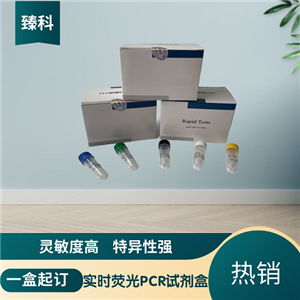 丹毒杆菌(SER)OCR检测试剂盒