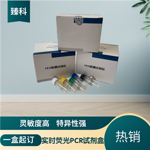 古典猪瘟病毒通用型PCR检测试剂盒
