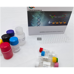 大鼠卵泡抑素 (FST) ELISA试剂盒,Rat Fst(Follistatin) ELISA Kit