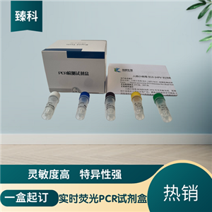 甲型流感病毒H1亚型(IAV-H1)PCR试剂盒