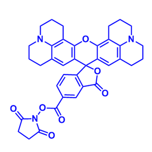 5-ROX-琥珀酰亞胺酯,5-ROX NHS ester