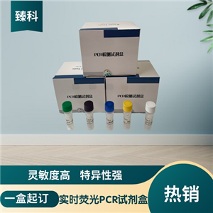禽流感病毒H6亚型(AIV-H6PCR检测试剂盒