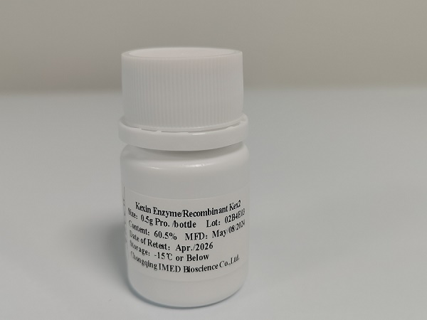 重組雙堿性氨基酸內(nèi)肽酶,Recombinant Kexin (rKex2)