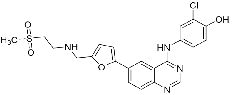 拉帕替尼雜質(zhì)06,Lapatinib Impurity 06