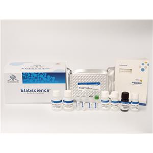 Elabscience 大鼠白介素6(IL-6) elisa試劑盒-E-EL-R0015