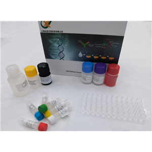 大鼠多巴胺脫羧酶(DDC)快速檢測(cè)ELISA試劑盒,Rat DDC (Dopamine Decarboxylase) QuickTest ELISA Kit