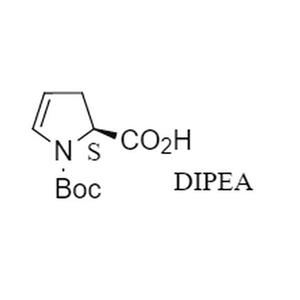 (S)-1-N-叔丁氧羰基-2,3-二氫-2-吡咯甲酸 二異丙胺鹽