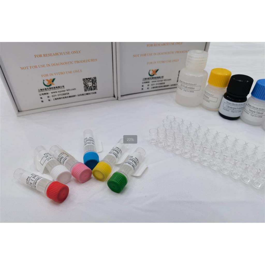 免费代测 大鼠内皮糖蛋白(ENG)ELISA试剂盒,Rat ENG (Endoglin) QuickTest ELISA Kit