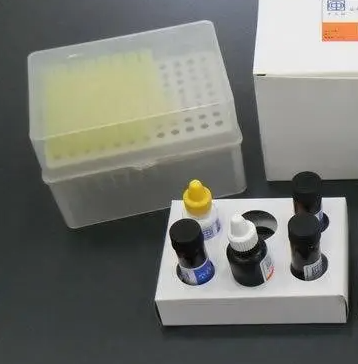 鳥分枝桿菌類結(jié)核亞型PCR試劑盒,Mycobacterium avium subspecies paratuberculosis