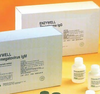 人類嗜T淋巴細胞病毒RT-PCR試劑盒,Human T-cell Lymphoma Virus(HTLV)