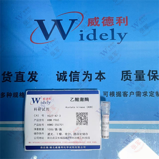 乙酸激酶,Acetate kinase (ACK)