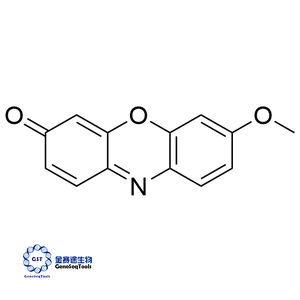 甲氧基試鹵靈,Methoxyresorufin;Resorufin Methyl Ether