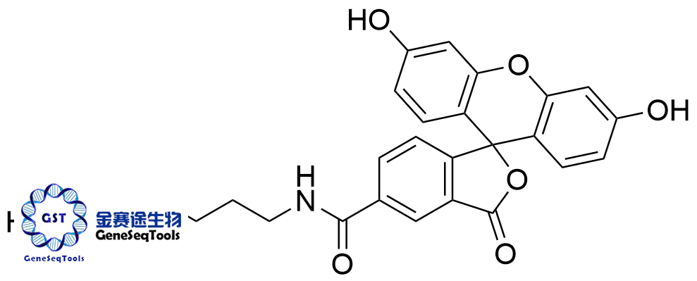FAM胺，5-異構體,FAM amine, 5-isomer