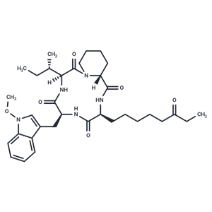 化合物 Apicidin|T14305|TargetMol
