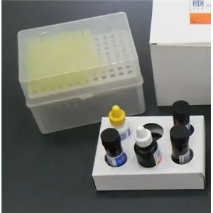 鳥分枝桿菌類結(jié)核亞型PCR試劑盒,Mycobacterium avium subspecies paratuberculosis
