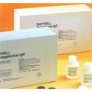 人類嗜T淋巴細胞病毒RT-PCR試劑盒,Human T-cell Lymphoma Virus(HTLV)