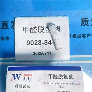 甲醛脱氢酶,FORMALDEHYDE DEHYDROGENASE