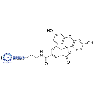 FAM胺，5-異構(gòu)體,FAM amine, 5-isomer