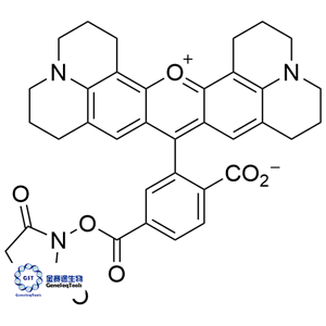 216699-36-4 | 6-Carboxy-X-rhodamine, succinimidyl ester;6-ROX, SE