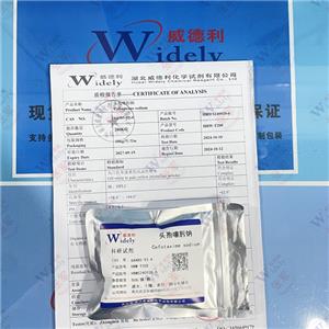頭孢噻肟鈉,Cefotaxime Sodium