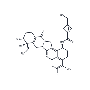 化合物 Exatecan-amide-bicyclo[1.1.1]pentan-1-ylmethanol|T87725|TargetMol
